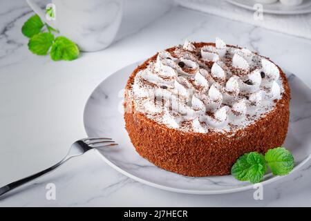 Perfetta torta di tiramisù fatta in casa cosparsa di polvere di cacao sul piatto Foto Stock