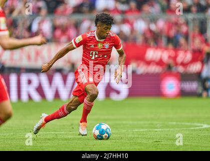 Monaco di Baviera, Germania, 08/05/2022, Kingsley Coman, FCB 11 nella partita FC BAYERN München - VFB STUTTGART 2-2 1.German Football League il mai 08, 2022 a Monaco di Baviera, Germania. Stagione 2021/2022, partita giorno 33, 1.Bundesliga, Muenchen, 33.Spieltag. FCB, © Peter Schatz / Alamy Live News - LE NORMATIVE DFL VIETANO L'USO DI FOTOGRAFIE come SEQUENZE DI IMMAGINI e/o QUASI-VIDEO - Foto Stock