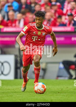 Monaco di Baviera, Germania, 08/05/2022, Kingsley Coman, FCB 11 nella partita FC BAYERN München - VFB STUTTGART 2-2 1.German Football League il mai 08, 2022 a Monaco di Baviera, Germania. Stagione 2021/2022, partita giorno 33, 1.Bundesliga, Muenchen, 33.Spieltag. FCB, © Peter Schatz / Alamy Live News - LE NORMATIVE DFL VIETANO L'USO DI FOTOGRAFIE come SEQUENZE DI IMMAGINI e/o QUASI-VIDEO - Foto Stock