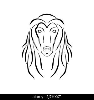 Hound afghano. Logo con bel cane da cane. Illustrazione Vettoriale