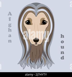 Hound afghano. Stampa di un bel cane da cane. Illustrazione Vettoriale