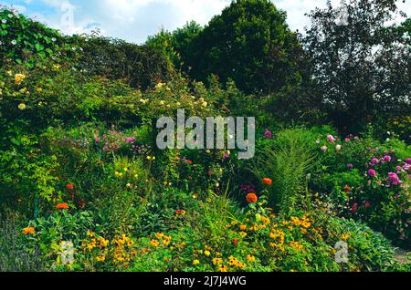 Vista parte del giardino vibrante di Monet in Francia, una giornata di sole. Foto Stock