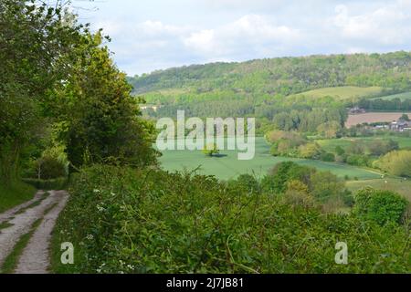 Vista della Darent Valley sopra Shoreham, Kent, nel gesso North Downs vicino Londra all'inizio di maggio, su un popolare sentiero. Foto Stock