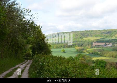 Vista della Darent Valley sopra Shoreham, Kent, nel gesso North Downs vicino Londra all'inizio di maggio, su un popolare sentiero. Foto Stock