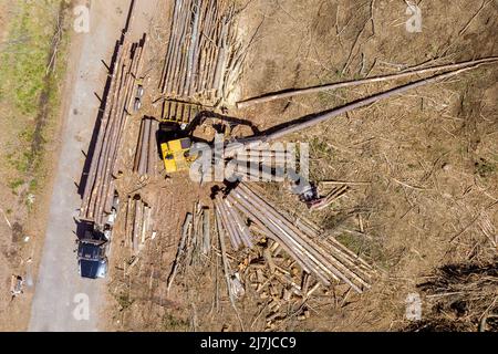 Vista aerea sul caricamento di tronchi di legno su per camion Foto Stock