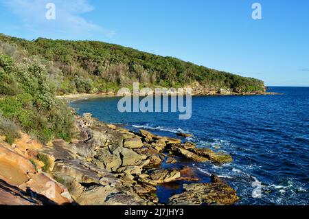 Una vista di Little Congwong Beach vicino la Perouse a Sydney, Australia Foto Stock