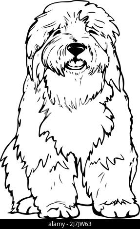 Illustrazione vettoriale di bobtail bianco e nero. Cane disegnato a mano. Illustrazione Vettoriale