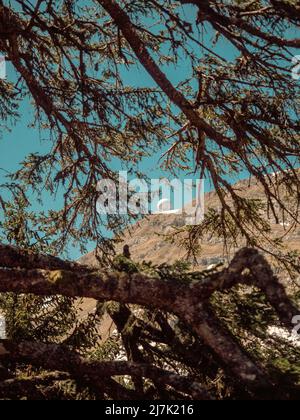 Vista mozzafiato dalle montagne del Giura alle Alpi francesi e svizzere sul lago di Ginevra in una bella giornata invernale frizzante. Foto Stock