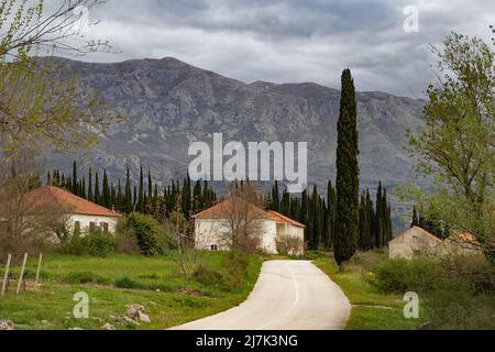 Primavera Paesaggio. Valle di montagna in una giornata di primavera Foto Stock