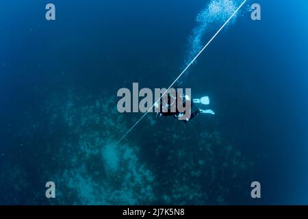 Immersioni subacquee fare sosta di sicurezza, isola di Vis, Mar Mediterraneo, Croazia Foto Stock