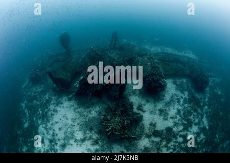 B-24 Liberator Bomber Wreck, isola di Vis, Mar Mediterraneo, Croazia Foto Stock