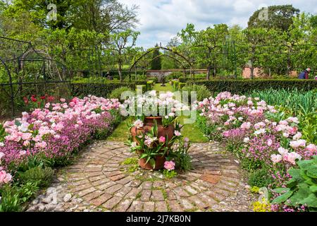 Tulipani ai giardini di Pashley Manor, East Sussex, primavera del Regno Unito Foto Stock