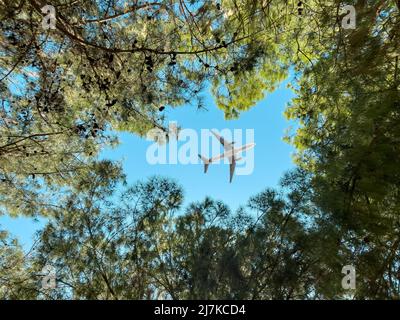 Aeroplano che vola al di sopra della foresta, vista dal basso Foto Stock