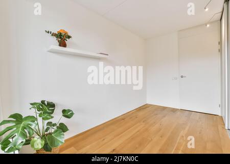 Camera minimalista vuota con porta chiusa e vaso di fiori sul pavimento vicino verde pianta in vaso su parete bianca in appartamento chiaro Foto Stock