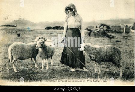 Ile-de-Bréhat, Brehatin che custodisce il suo prato di sale pecore Dipartimento: 22 - Côtes-d'Armor Regione: Bretagne (Bretagna) cartolina d'epoca, fine 19th - inizio 20th secolo Foto Stock