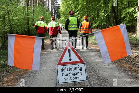 10 maggio 2022, Meclemburgo-Pomerania occidentale, Neustrelitz: Un cartello 'Holzfällung Durchgang verboten' si trova su una strada forestale. In background, gli addetti alla silvicoltura stanno camminando verso una dimostrazione pratica di "abbattimento manuale del motore con supporto della gru" (metodo MFK), in cui un operatore forestale sega l'albero stabilmente tenuto sotto la protezione di una macchina (di solito una mietitrice o una vendemmiatrice di legname) e la macchina poi colpisce l'albero segato sopra. In precedenza, il lavoro sotto gli stabilizzatori delle macchine nella foresta era proibito. Il metodo è usato quando alberi più forti non possono essere raccolti puramente dalla macchina. Punto Foto Stock