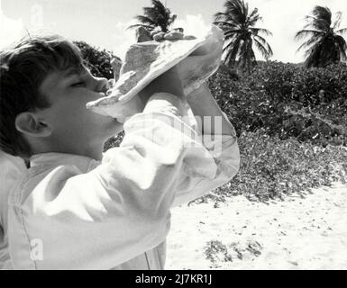 Lord of the Flies anno : 1963 Direttore britannico : Peter Brook James Aubrey Foto Stock