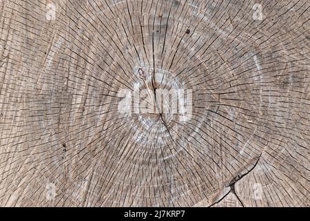 Struttura di legno Foto Stock