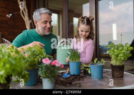 Figlia piccola che aiuta il padre a piantare e annaffiare i fiori, concetto di giardinaggio domestico Foto Stock