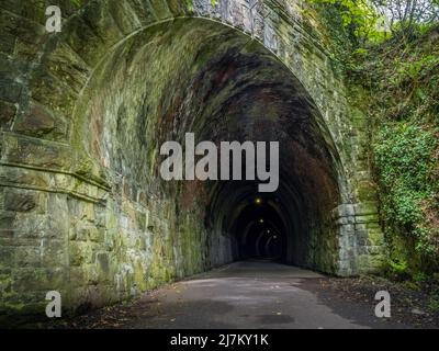 Ammira il vecchio tunnel ferroviario, ora parte del Tarka Trail, North Devon, Inghilterra. Foto Stock