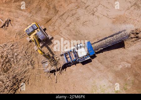 Cantiere da radici di alberi sono tritati di legno industriale fisso trituratore Foto Stock