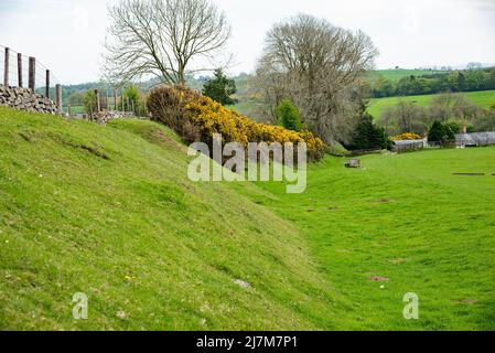 Una sezione di Offa's Dyke, Selattyn, Oswestry, Shropshire, UK. Foto Stock