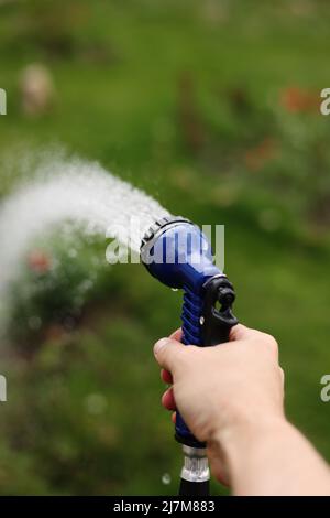 La mano del giardiniere tiene un tubo con un'irroratrice ed innaffiato le piante nel giardino Foto Stock