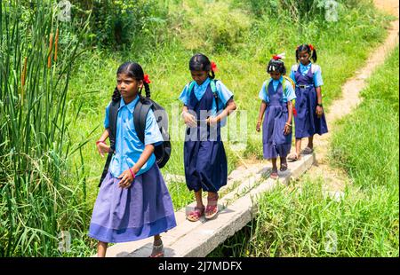 Gruppo di ragazzi ragazze che vanno a scuola da ponte balancingon composto da sondaggi elettrici in India rurale - concetto di sicurezza, istruzione e aspirazione Foto Stock