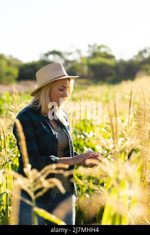 Agronomo femminile caucasico medio adulto usando il tablet digitale mentre si trova in mezzo alle colture in fattoria Foto Stock