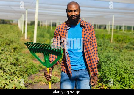 Ritratto di sorridente contadino calvo afroamericano medio adulto con caraffa in serra Foto Stock