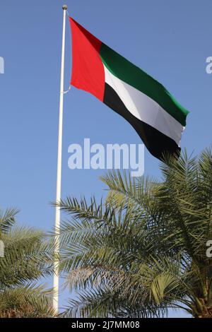 Bandiera degli Emirati Arabi Uniti Foto Stock