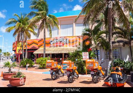 Ristorante messicano Senor Frog's, centro commerciale Punta Langosta, centro, San Miguel de Cozumel, Cozumel, Quintana Roo, Messico Foto Stock