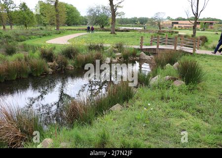 RHS Bridgewater Gardens Manchester Foto Stock