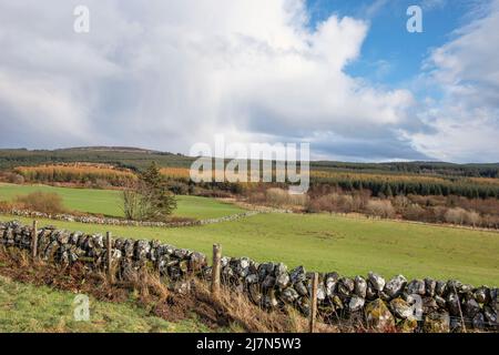 Tranquilla scena rurale caratterizzata da pascoli sezionati con erba verde brillante, foreste decidue con colori diversi fogliame circondato da un vecchio recinto Foto Stock