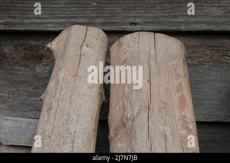 grande corteccia e tronchi nella zona centrale di aceh Foto Stock