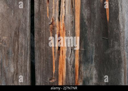 la corteccia che è stata tagliata e che vive da molto tempo nella zona centrale di aceh Foto Stock