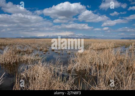 Parco Nazionale del Sultano Sazligi nella Provincia di Kayseri, Anatolia Centrale della Turchia Foto Stock