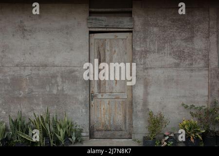 la corteccia che è stata tagliata e che vive da molto tempo nella zona centrale di aceh Foto Stock