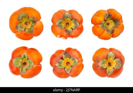 percorso di persimmon isolato su bianco Foto Stock