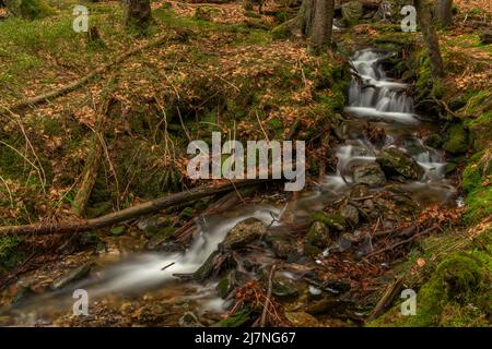 Cascata di Geigenbachfalle vicino alla collina di Groser Arber in Germania in primavera mattina Foto Stock