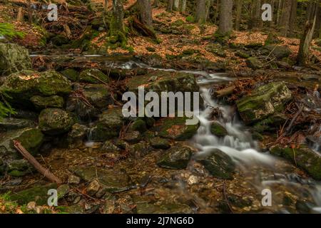 Cascata di Geigenbachfalle vicino alla collina di Groser Arber in Germania in primavera mattina Foto Stock