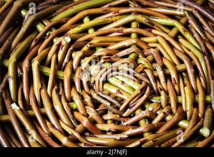 sfondo o texture dettaglio per tessere wicker basket willow Foto Stock