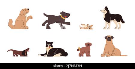 Set di varie razze di cani e dimensioni. Piccoli cuccioli carini e grandi e divertenti animali domestici. Gruppo di adorabili personaggi animali in diverse pose. Cani felici seduti, correre e mentire. Illustrazione Vettoriale