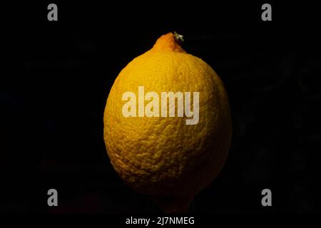 Limone giallo biologico fresco isolato su sfondo nero Foto Stock