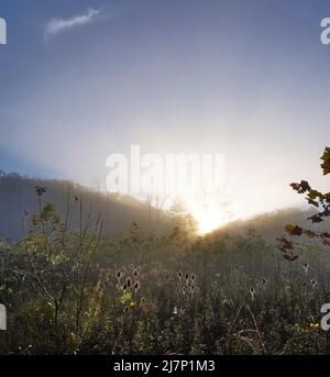 Un'immagine ritratto di un'alba dinamica su una montagna nebbia nell'autunno del Kentucky. Foto Stock