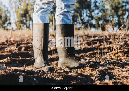 Primo piano delle gambe e dei piedi di un agricoltore utilizzando stivali wellingtons nel mezzo della campagna. Foto Stock