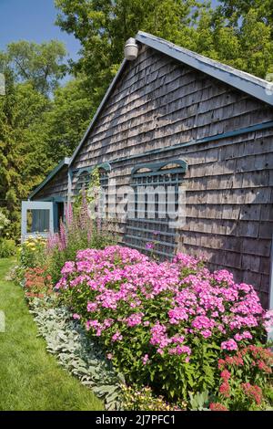 Vecchio circa 1830 cedro legno scandole rivestito capannone di stoccaggio bordered con fiori viola flox in giardino paesaggistico. Foto Stock