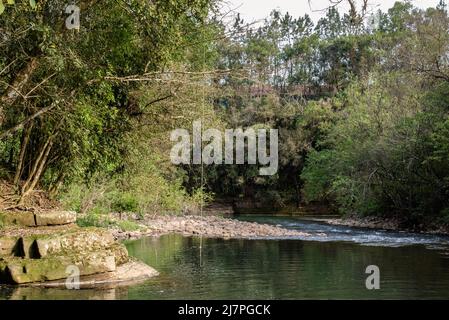 Albero di corda swing su un fiume Foto Stock