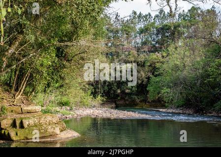 Albero di corda swing su un fiume Foto Stock