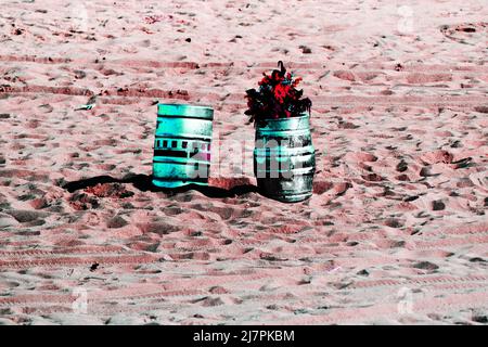 TOGA PARTY: Due barili di birra uno con fiori in piedi nel mezzo della spiaggia di Long Branch nel New Jersey. Foto Stock